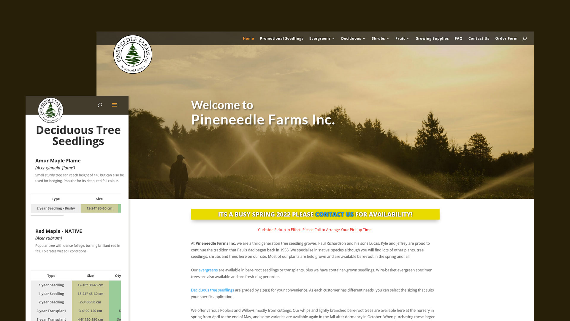 Pineneedle-site-layout